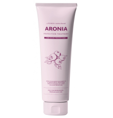 Маска для волос АРОНИЯ Institute-beaut Aronia Color Protection Treatment