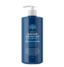 Шампунь для волос УКРЕПЛЕНИЕ ОХЛАЖДЕНИЕ Argan Oil Ginger Cooling Care Shampoo